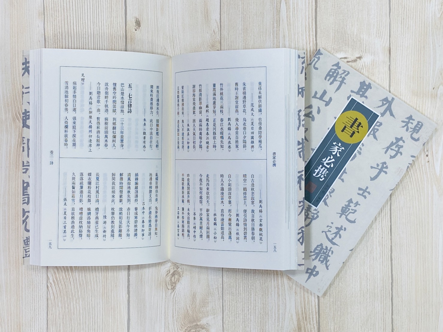 《畫家必攜 / 書家必攜》 張同標 編著 河南美術出版社