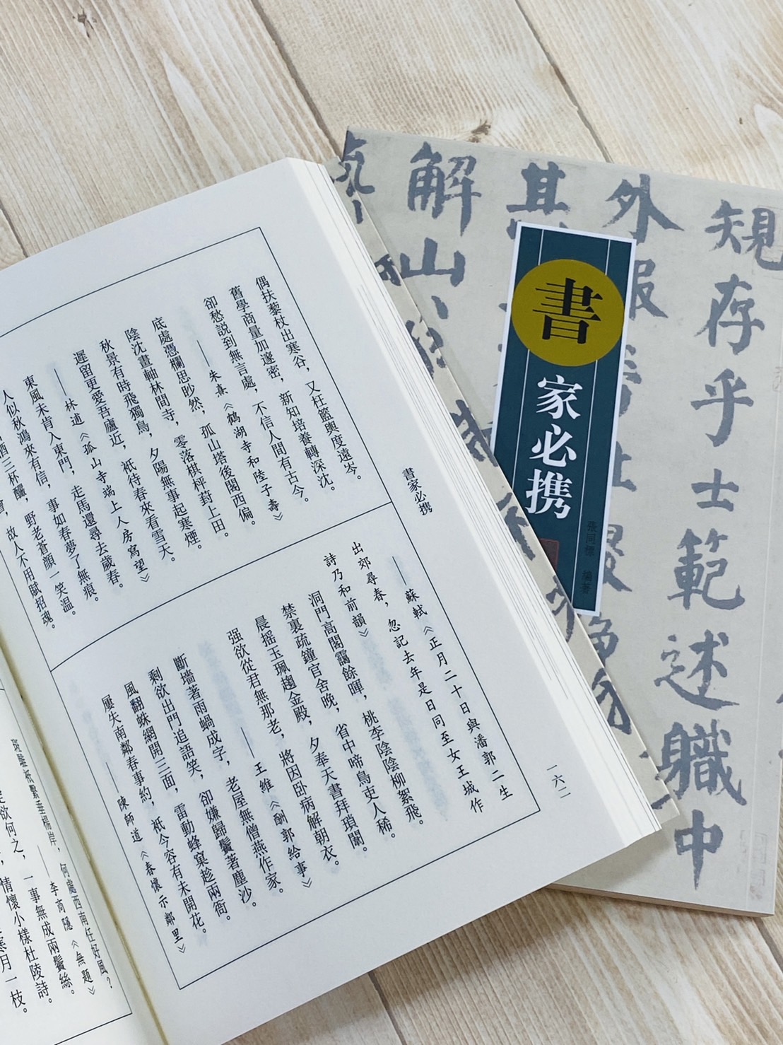 《畫家必攜 / 書家必攜》 張同標 編著 河南美術出版社