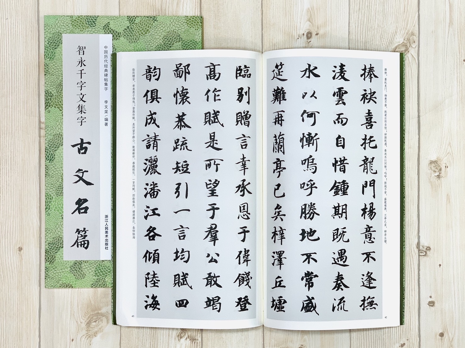 《智永千字文集字古文名篇》中國歷代經典碑帖集字 浙江人民美術出版社