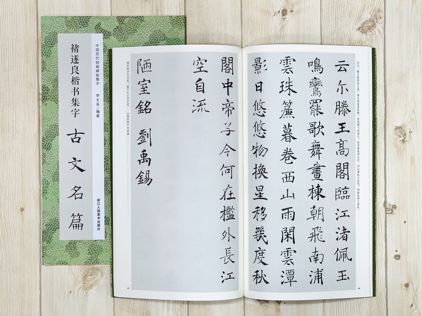 《褚遂良楷書集字古文名篇》中國歷代經典碑帖集字 李文采 編 浙江人民美術出版社