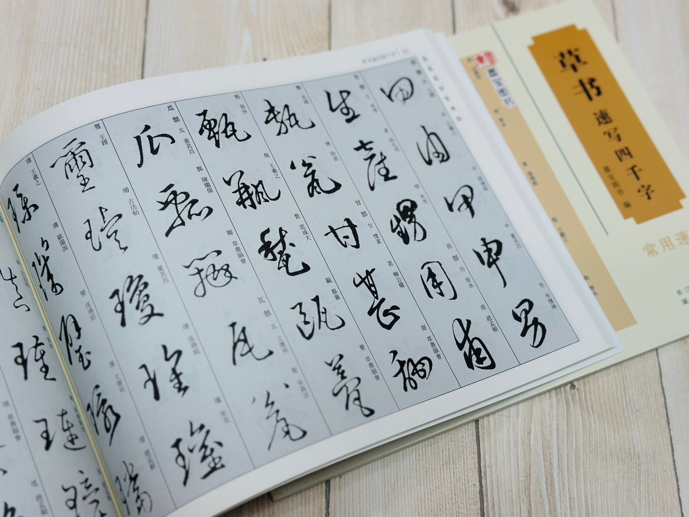 《速寫四千字》 墨寶圖書 湖北美術出版社
