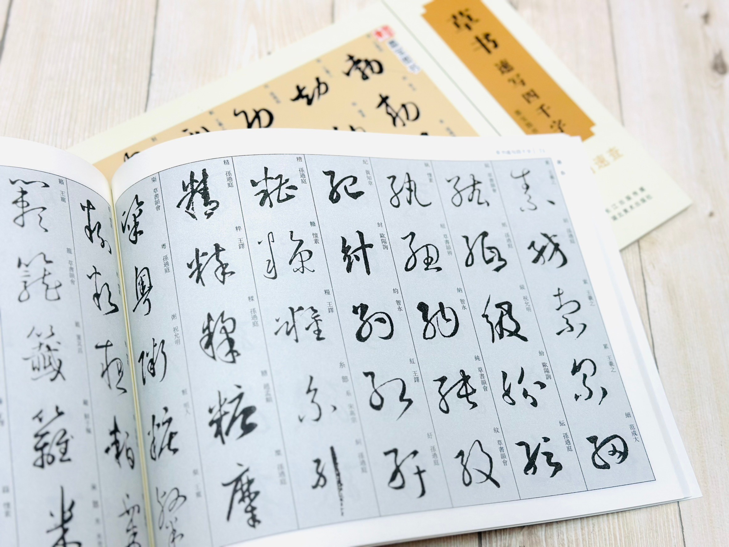 《速寫四千字》 墨寶圖書 湖北美術出版社