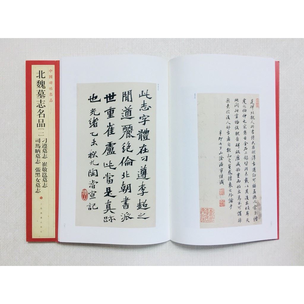 《北魏墓志名品(一)》 33 中國碑帖名品 上海書畫出版社 書法 北魏 墓志 司馬昞 張黑女 刁遵 崔敬邕