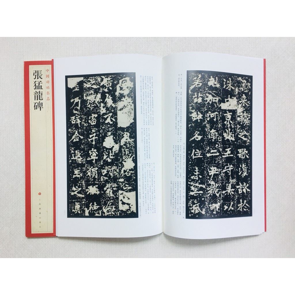 《張猛龍碑》 36 中國碑帖名品 上海書畫出版社 書法 張猛龍碑