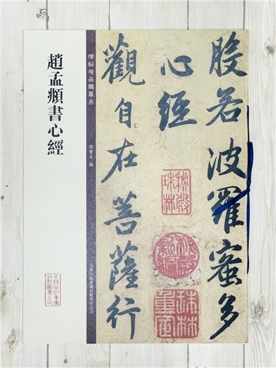 《趙孟頫書心經》碑帖珍品臨摹本系列  孫寶文主編  吉林出版社