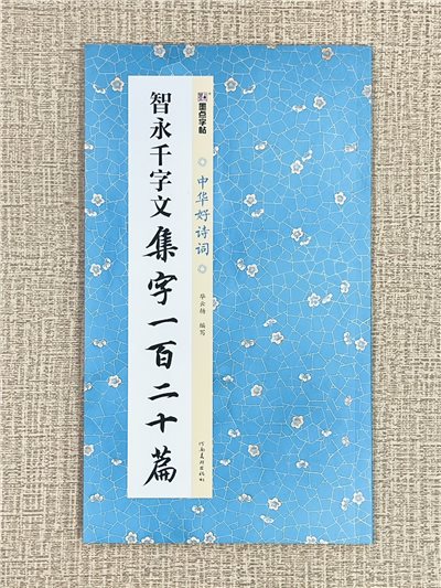 《智永千字文 集字一百二十篇》中國好詩詞 墨點字帖 畢雲楊 編寫 河南美術出版社
