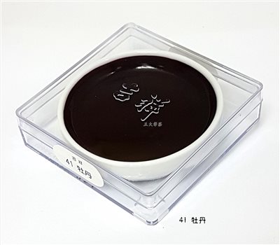 日本 吉祥 《鉄缽#41  牡丹》 鐵缽 顏彩 KISSHO