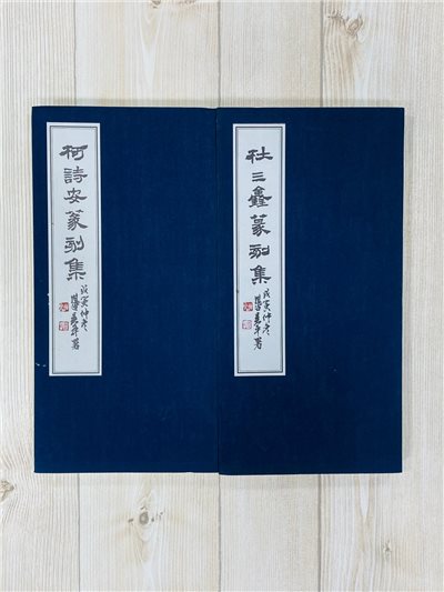 《柯詩安 杜三鑫篆刻集》篆刻 工具書 書法可參考 2本合購優惠