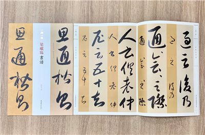 《梁巘臨書譜》一碑一帖 孫寶文 上海辭書出版社