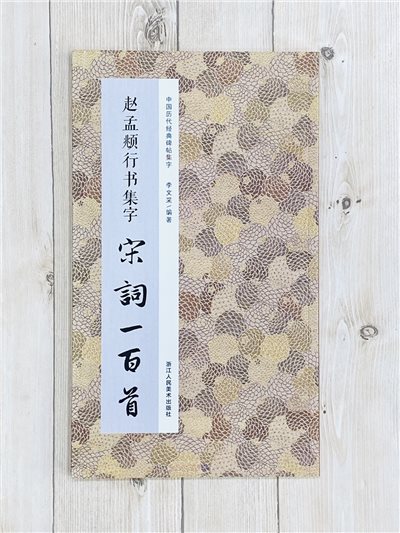 《趙孟頫行書集字 宋詞一百首》中國歷代經典碑帖集字（第二輯） 浙江人民美術出版社