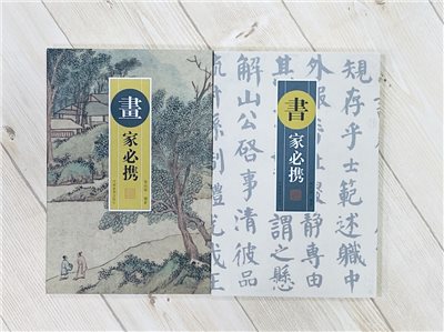 《畫家必攜 / 書家必攜》 張同標 編著 河南美術出版社